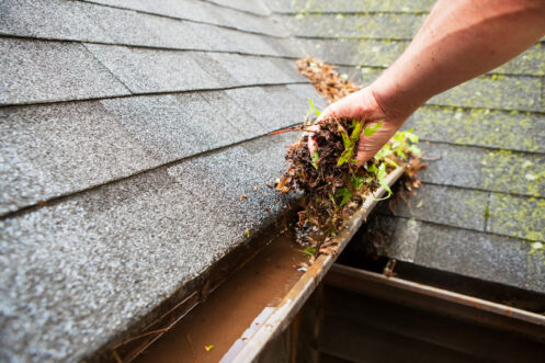 The Smart Guide to Gutter & Roof Prep for Fall Leaves in the Northeast