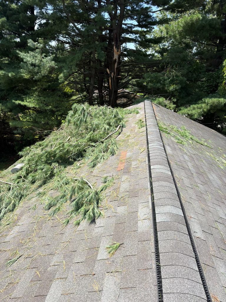 roof damage after storm with tree branches on it